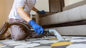 Steam Carpet Cleaning