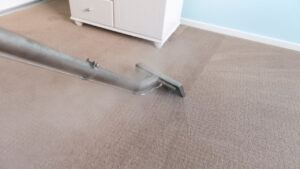 Emergency Carpet Cleaning Service Cost in Brooklyn